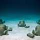 Illustration for article titled The Astonishing Treasures of Underwater Art Galleries